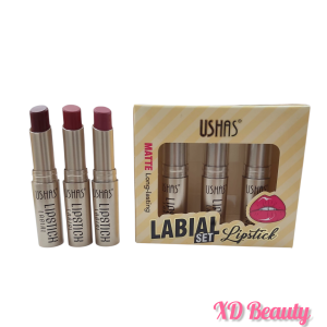 Labial Matte Ushas x3 NO.US010A
