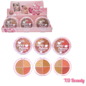 Rubor Ushas 3 IN 1 Palette NO.UF073A