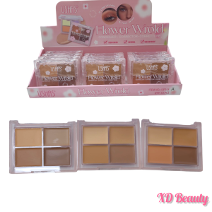 Corrector Ushas Flower Wrold NO.UF058A